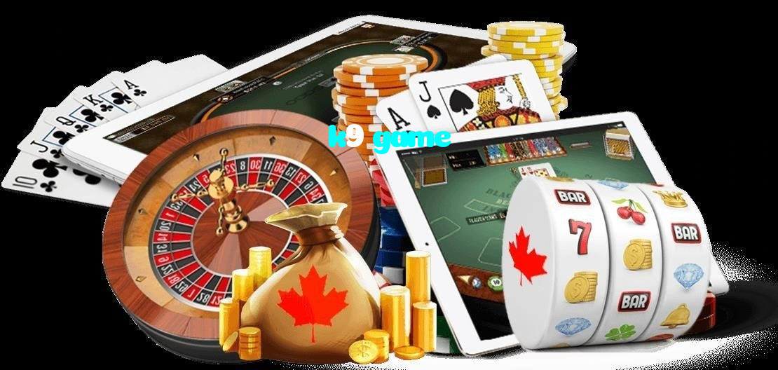 available types of k9 game bet including pre-match live express and system bets